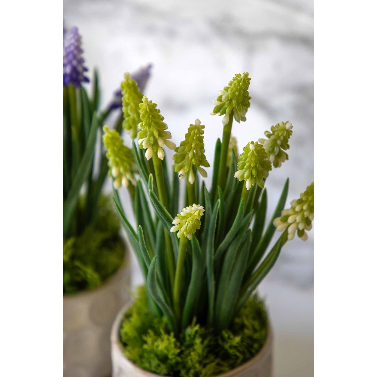 Set of 2 White Spring Hydrangea in Ceramic Pots white, ÉDITÉ