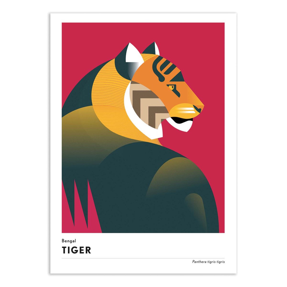Affiche d'art - Bengal tiger - Mark Harrison rouge, WALL EDITIONS