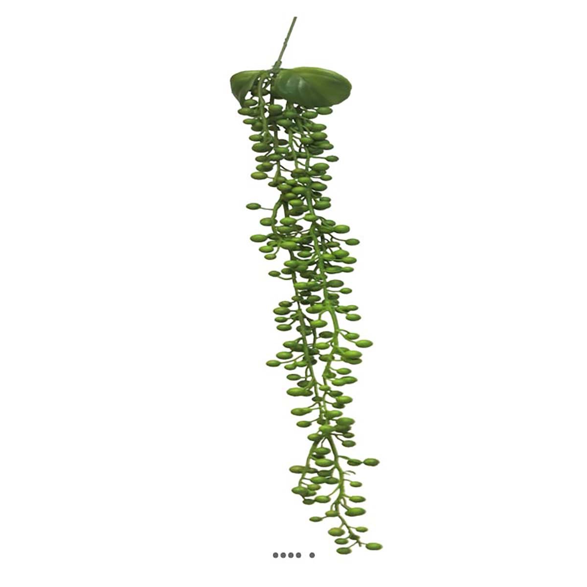 Chute de Senecio artificiel Longueur 60 cm v002239, ARTIFICIELLES