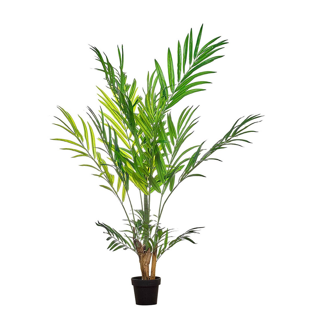Planta artificial "Bamboo Palm" 200cm, BORGHESI verde, BORGHESI