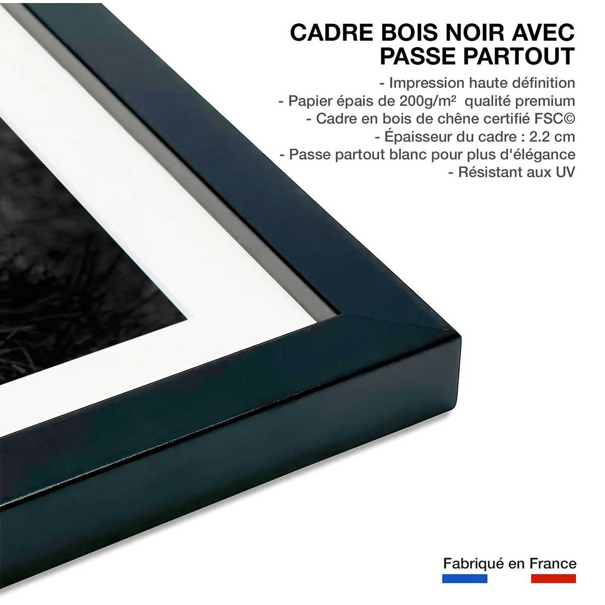 Affiche tigre assoupi dans son rayon de lumière affiche + cadre en bois - noir, HEXOA