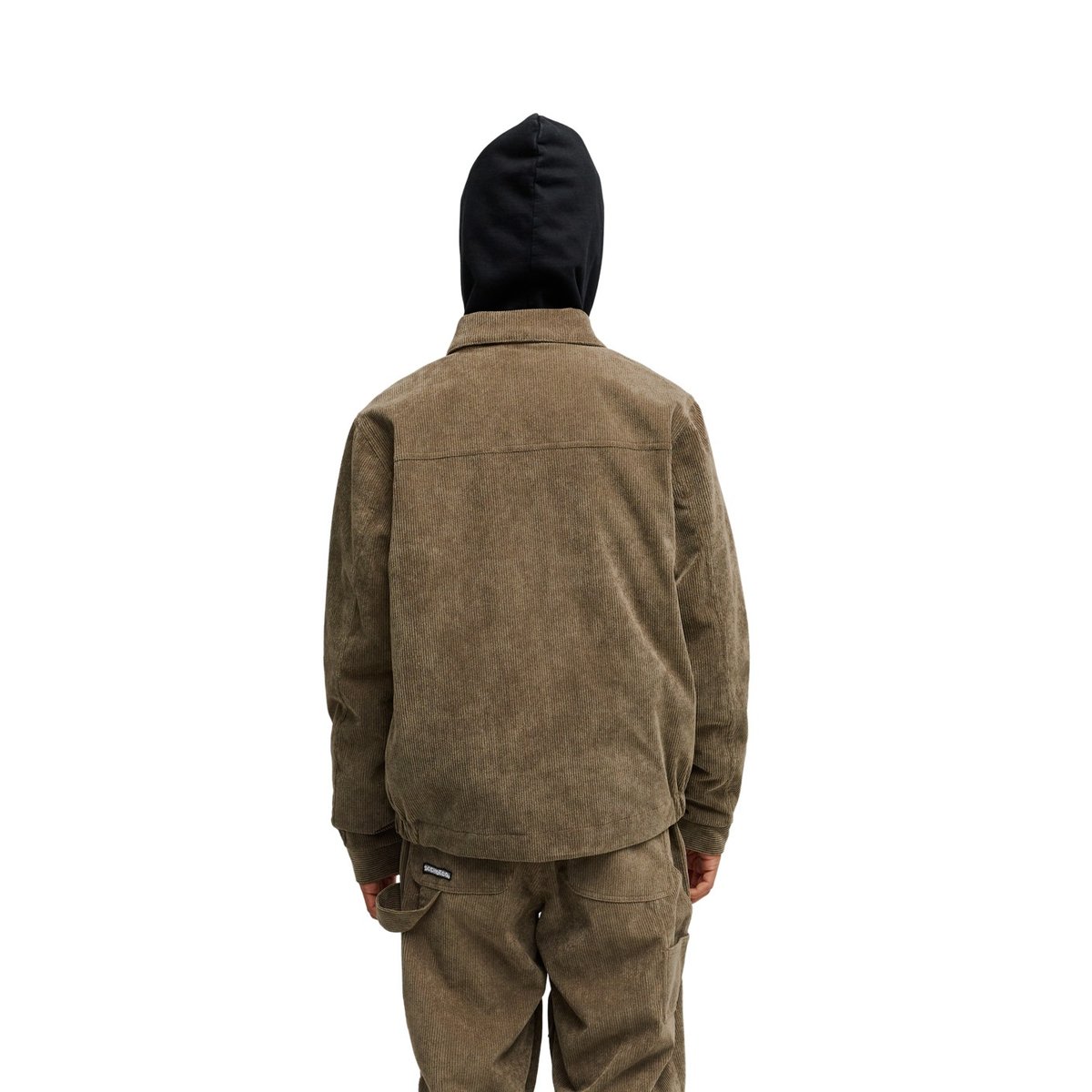 Veste de snow technique SNOW CHIEF 10K. marron morel, DC SHOES