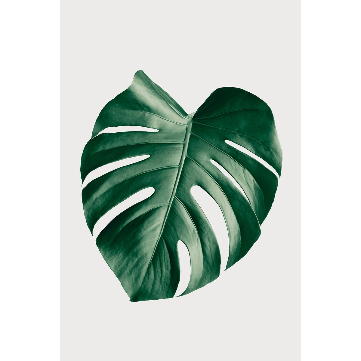 Tableau monstera perfect tableau alu dibond, HEXOA