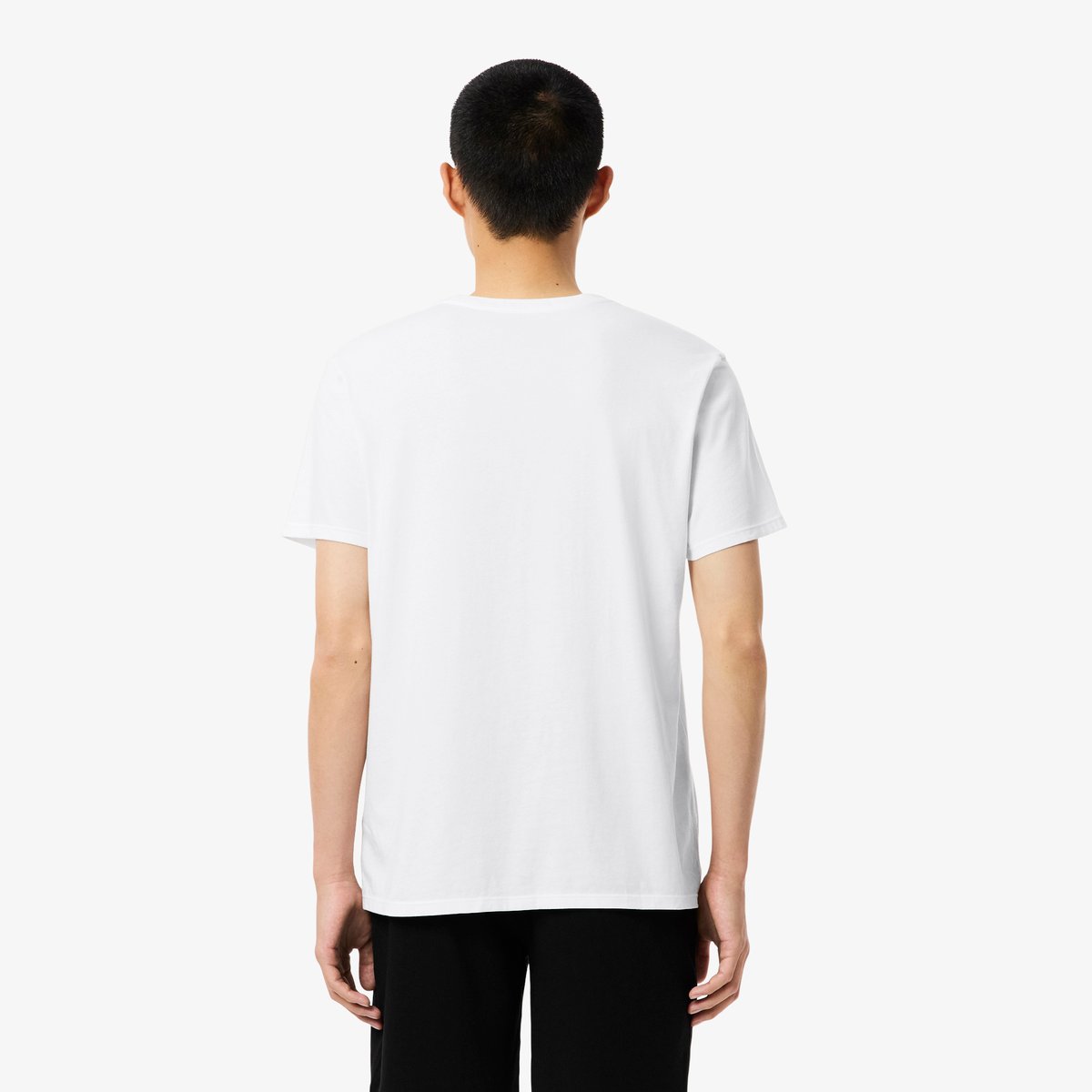 Lot de 3 t-shirts d'intérieur blanc-001, LACOSTE