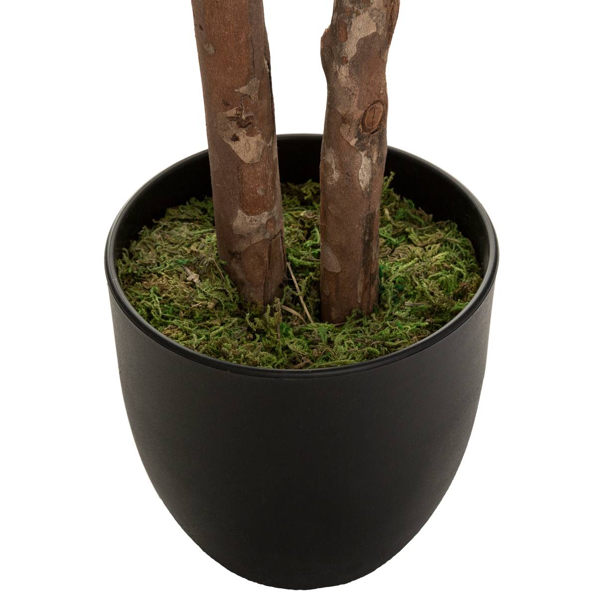 Schefflera artificiel vert, ATMOSPHERA