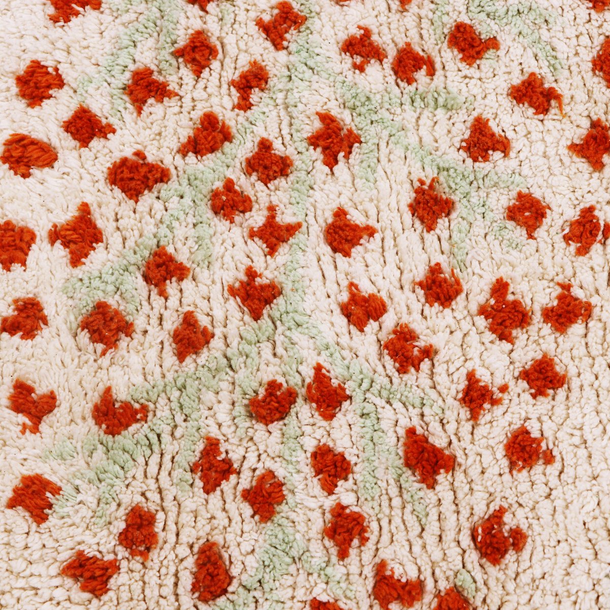 Tapis Rectangulaire en coton Plantes Botaniques PLANTS multicolore, LORENA CANALS
