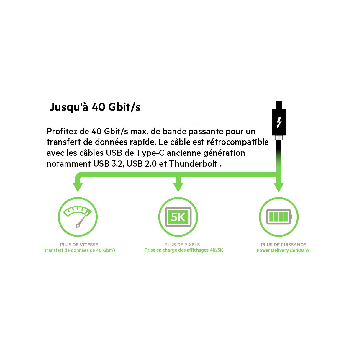 Adaptateur USB C USB 4 C 0.80M noir, BELKIN