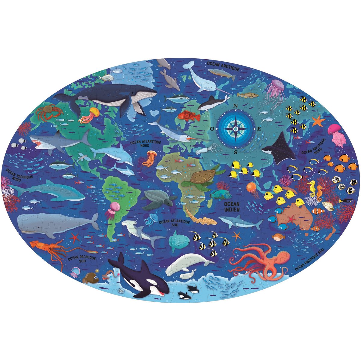 Puzzle & Livre - Voyage, découvre, explore, La mer bleu, SASSI