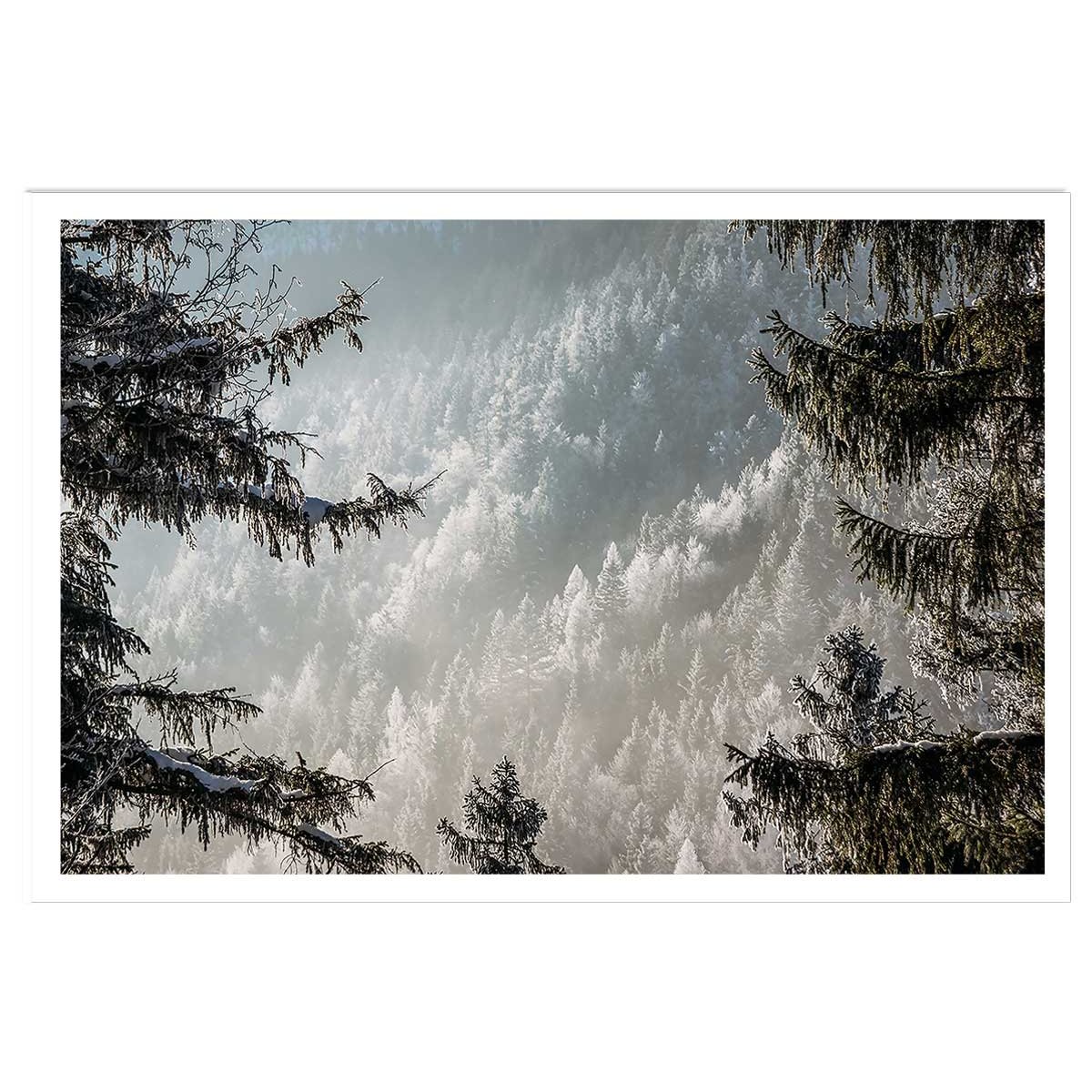 Affiche paysage forest in fog drama affiche seule, HEXOA