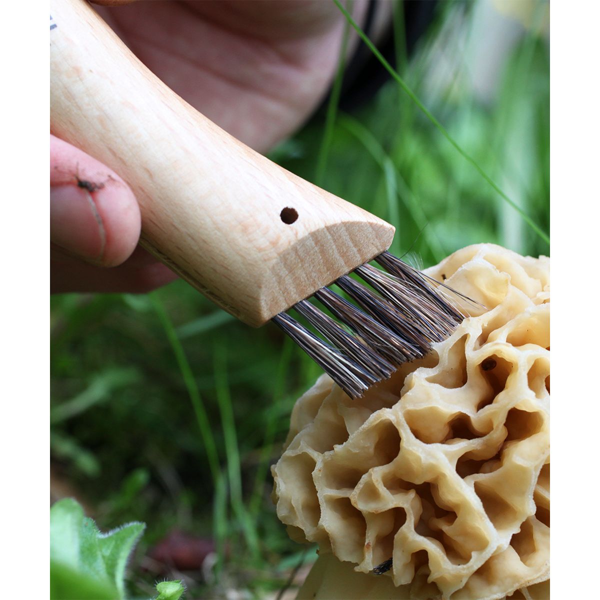 Couteau d'office Cuisine Nomade champignon marron, OPINEL