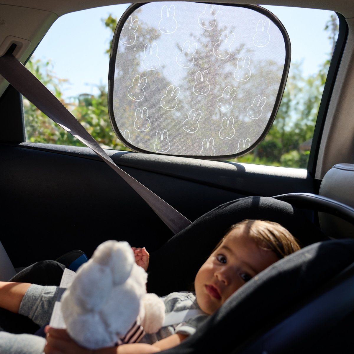 Lot de 2 pare-soleil statique pour voiture gris, DOOKY