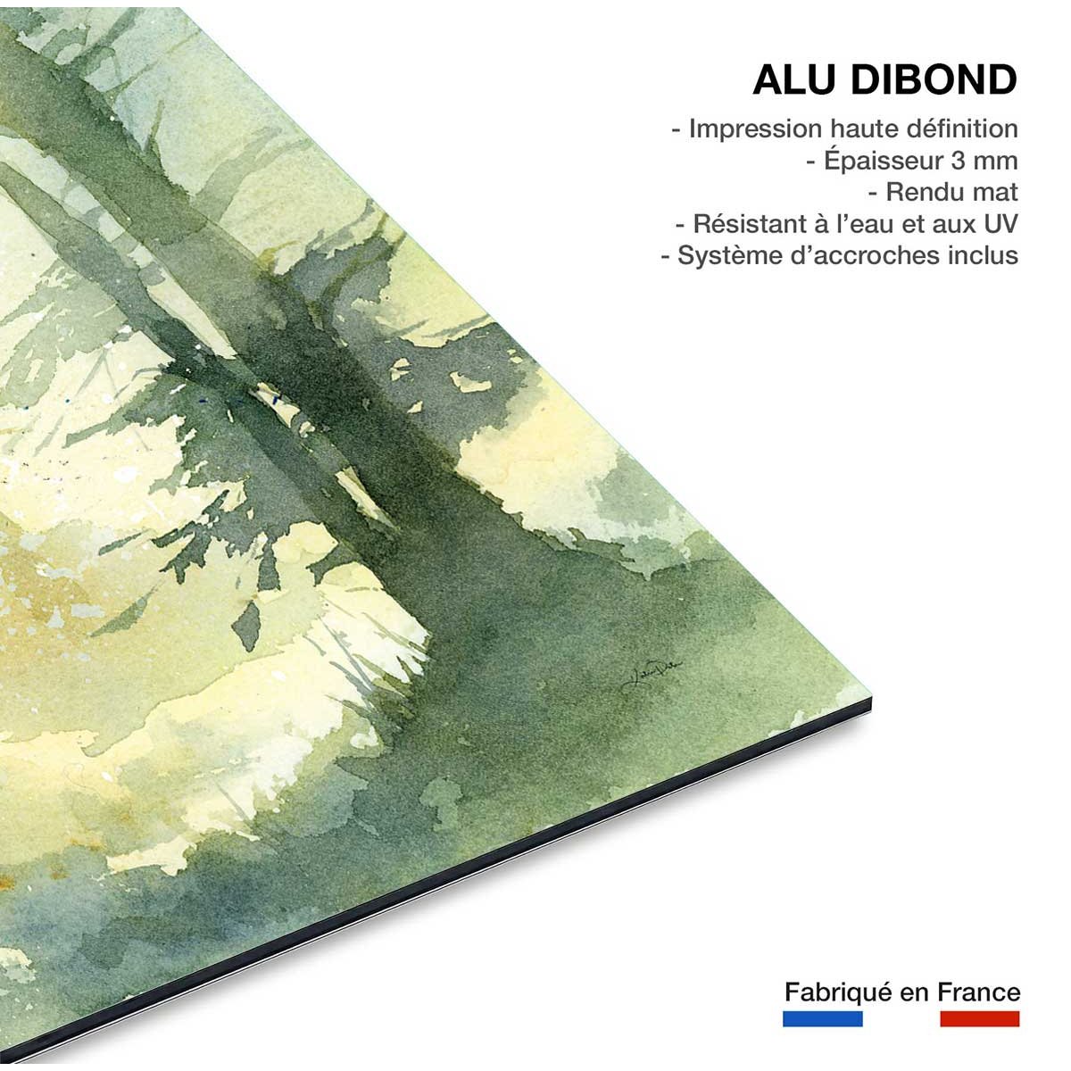 Cadre deco Bosquet ombragé tableau alu dibond, HEXOA