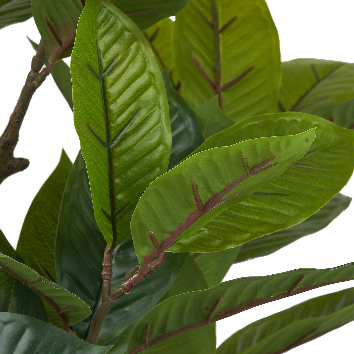 130cm Magnolia Tree in Pot green/grey, ÉDITÉ