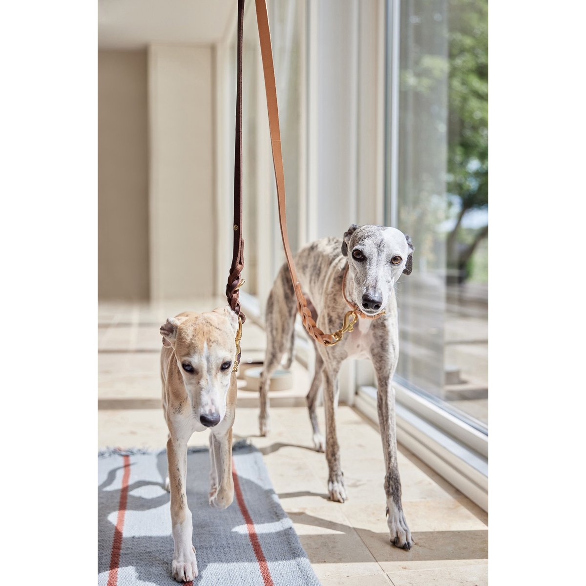 Laisser seul en cuir pour chien LIVING brun, OYOY LIVING DESIGN