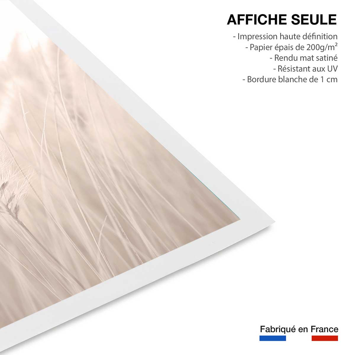 Poster blé poudré affiche seule, HEXOA