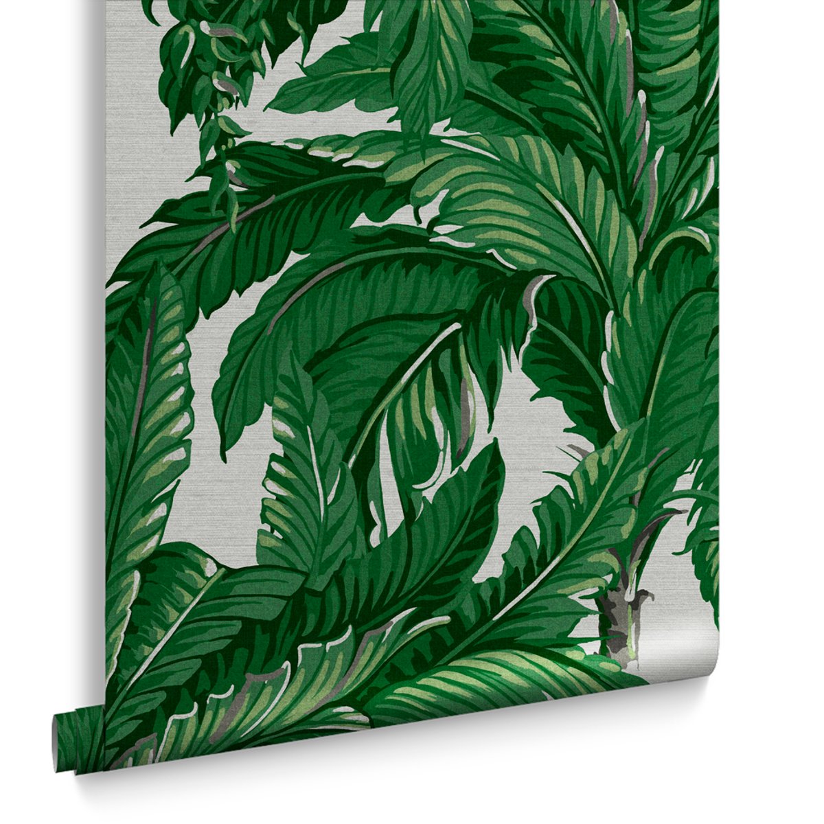 Papier peint Palmier Daintree vert, GRAHAM ET BROWN
