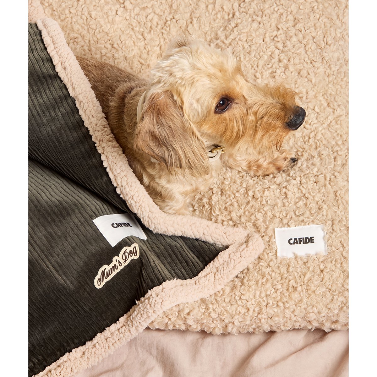 Couverture pour chien en velours côtelé vert, Toia vert, CAFIDE