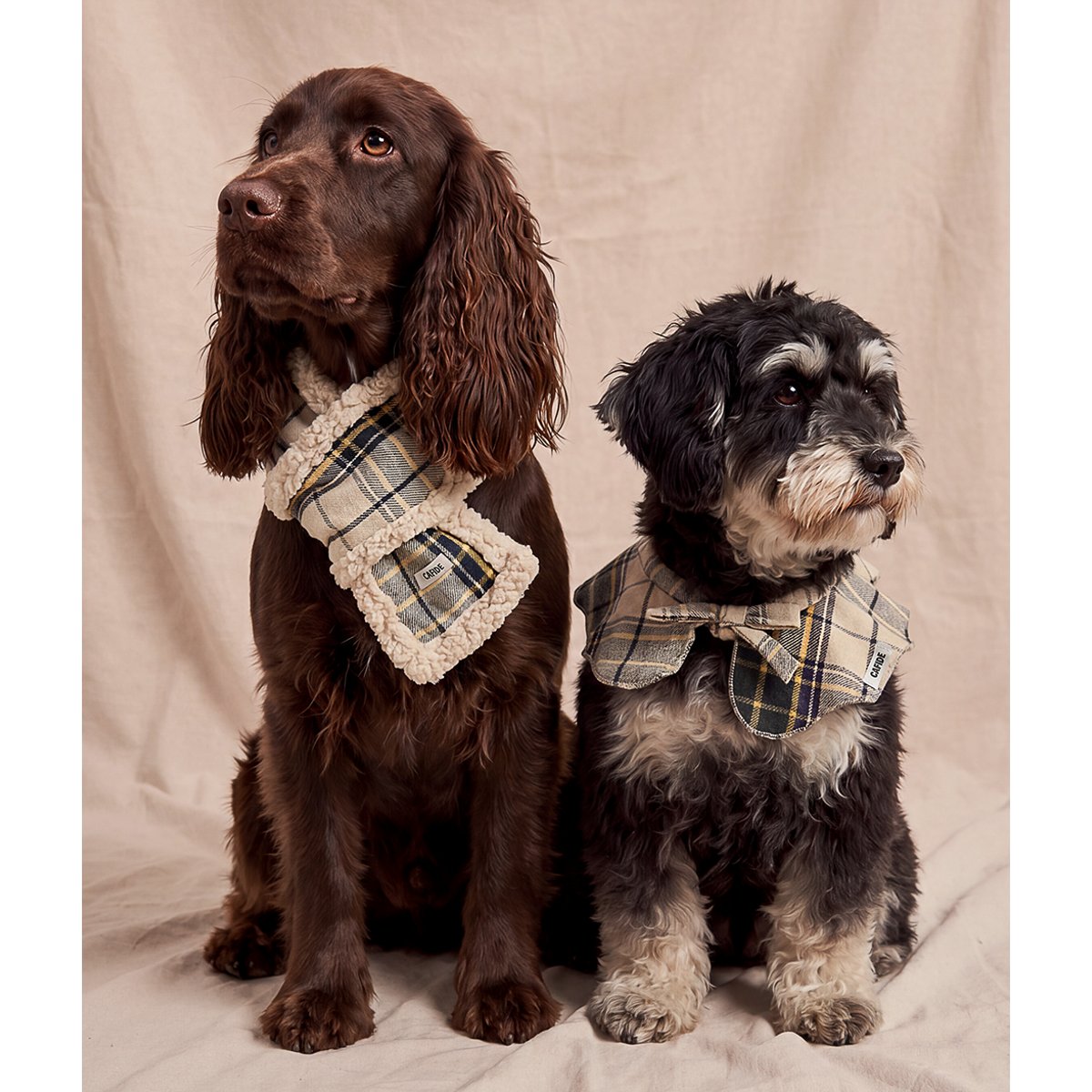 Écharpe tartan beige pour chien, Mica beige, CAFIDE