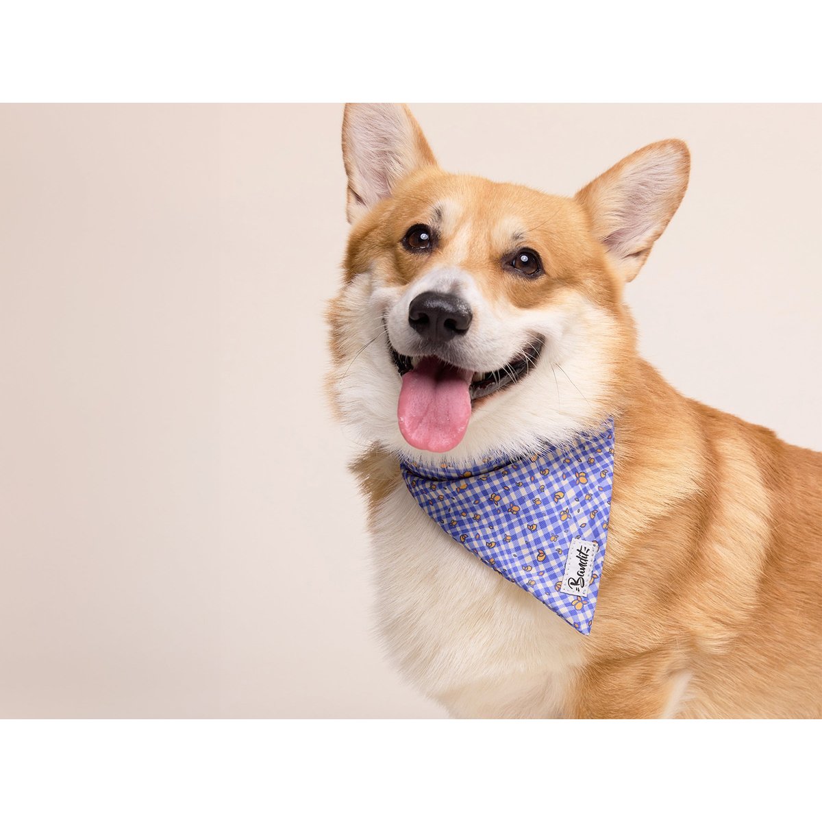 Bandana Chien et Chat VICHY LEMONADE chien / vichy bleu, FRENCH BANDIT