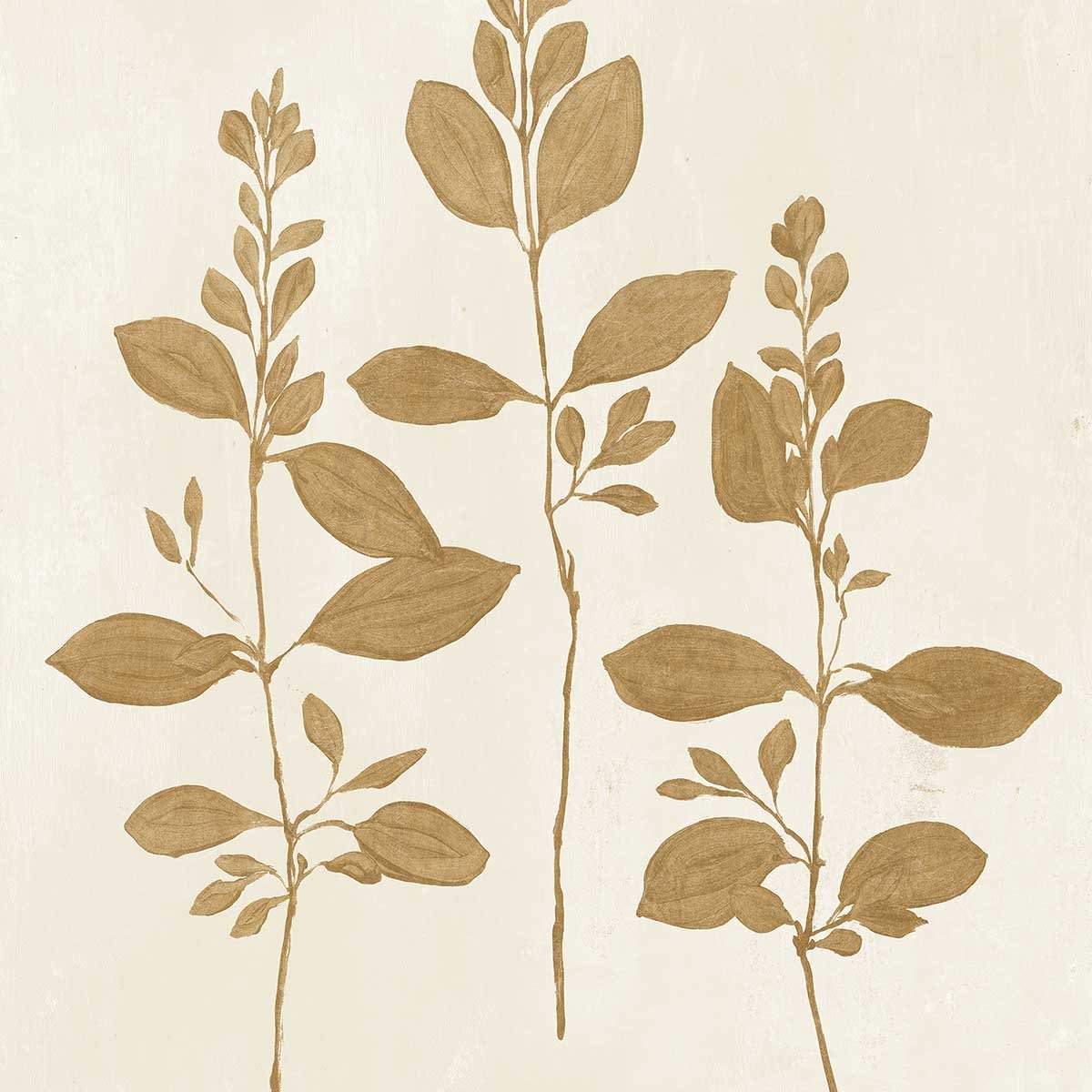 Affiche fleurs Recolte d'or Fresca affiche + cadre en bois - noir, HEXOA