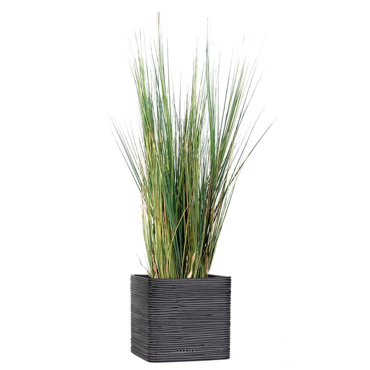 Isolepsis artificiel Graminée Herbe d vert, ARTIFICIELLES