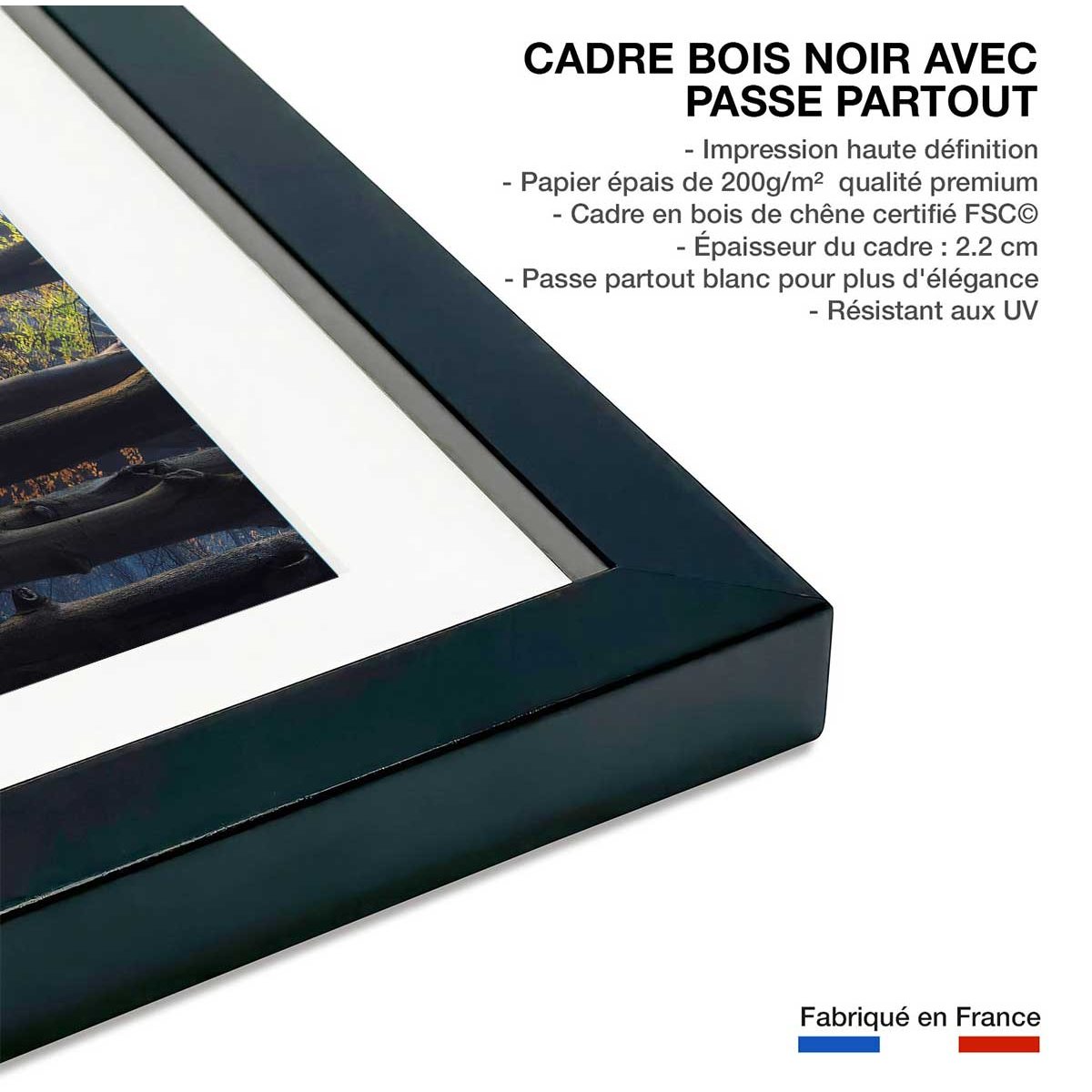 Affiche ""Lumière douce d'automne"" affiche + cadre en bois - noir, HEXOA