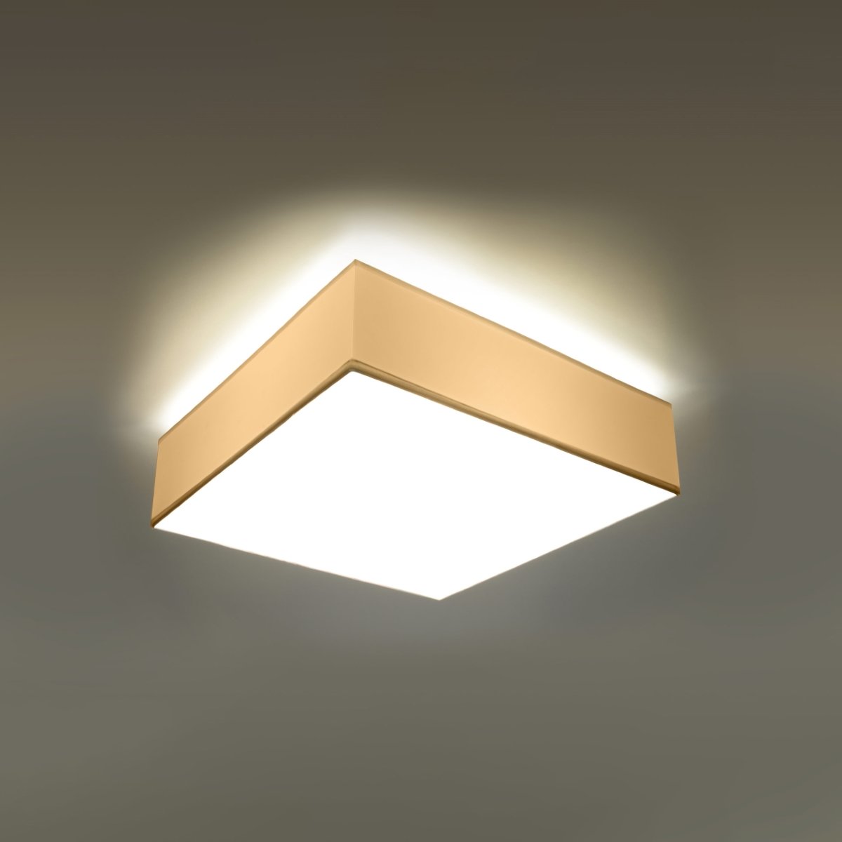 Plafonnier PVC Blanc E27 2 Horus blanc, EDEN