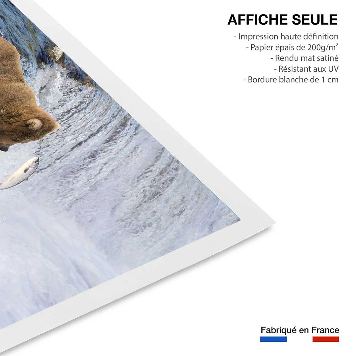 Affiche un ours pêche sur le bord affiche seule, HEXOA