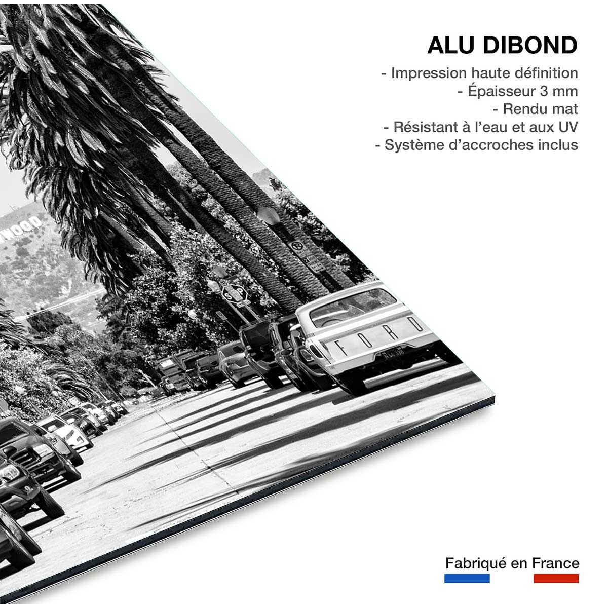 Tableau Photo Los Angeles Beachwood drive tableau alu dibond, HEXOA