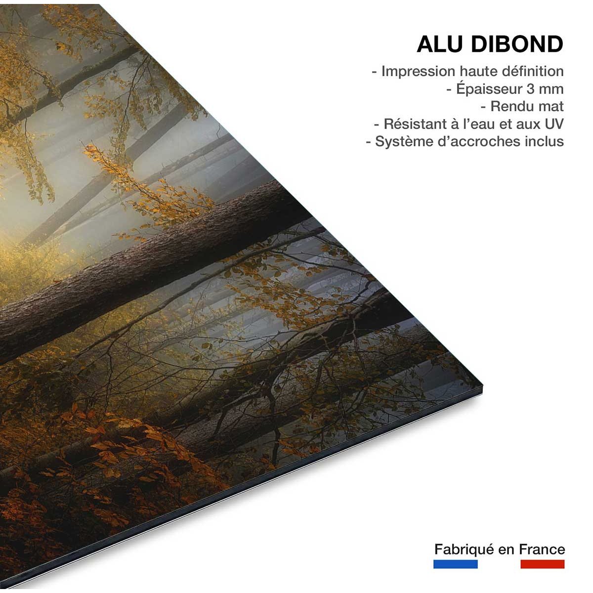 Tableau Automne rouge tableau alu dibond, HEXOA