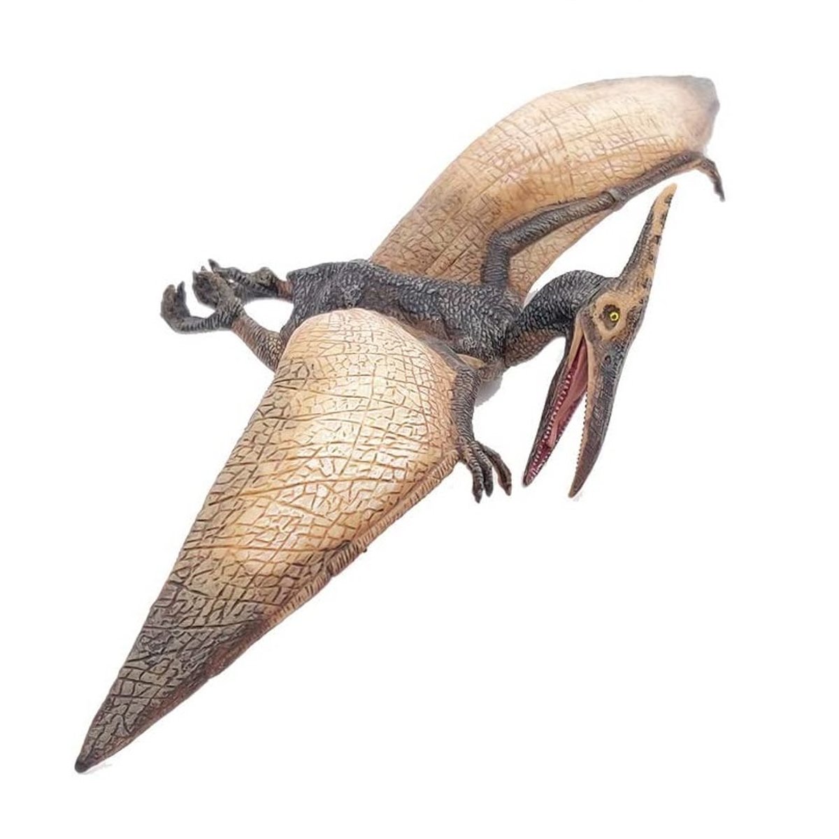 Figurine Ptéranodon marron, PAPO