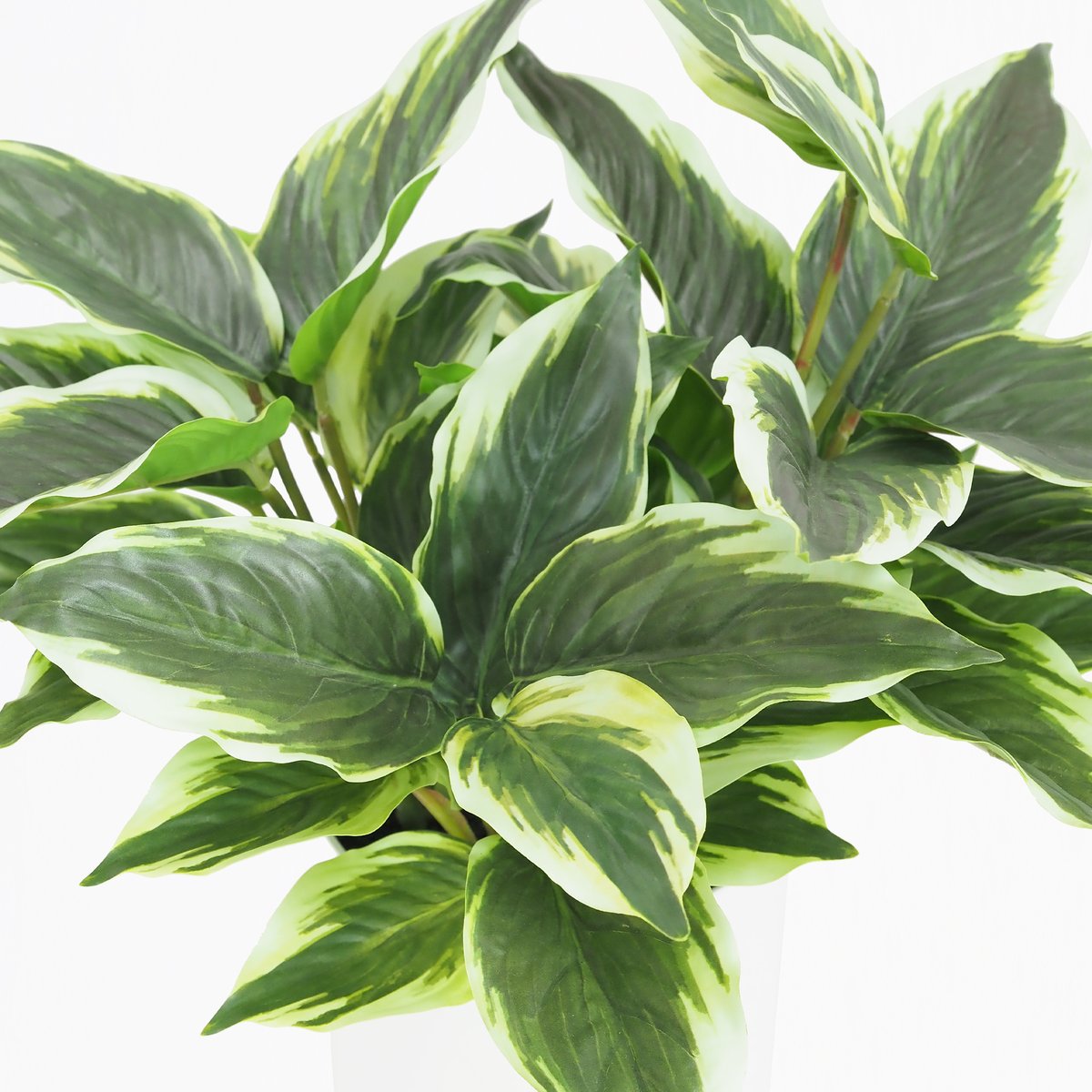 Dieffenbachia artificiel 40cm vert, LIGNE DECO