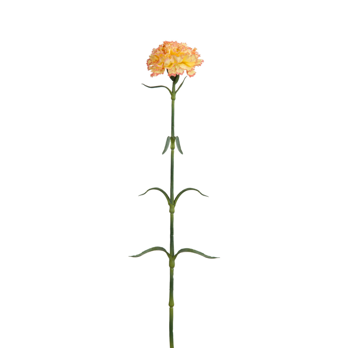 Tige d'œillet artificielle avec feuillage H55 crème, SIA DECO