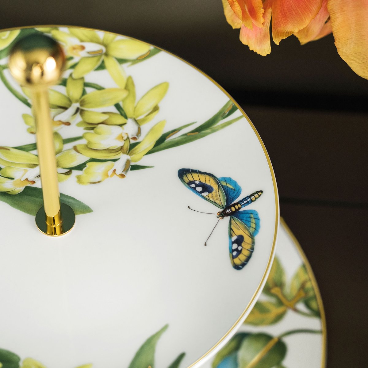 Etagère AMAZONIA couleur unique, VILLEROY & BOCH SIGNATURE
