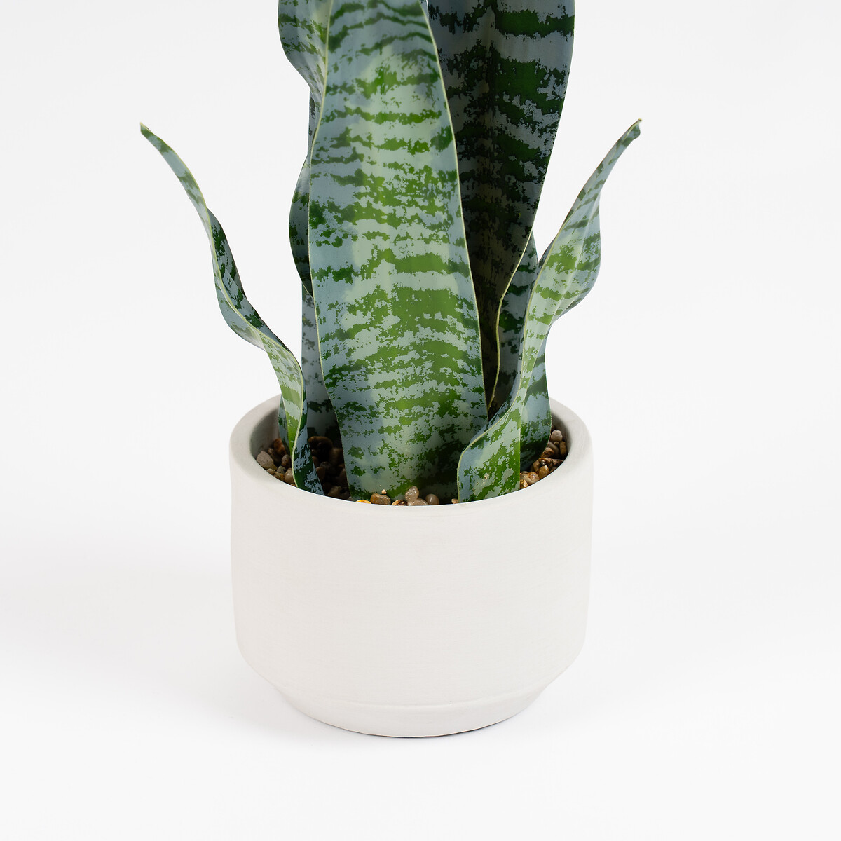 48cm Sansevieria in Cement pot green, SO'HOME
