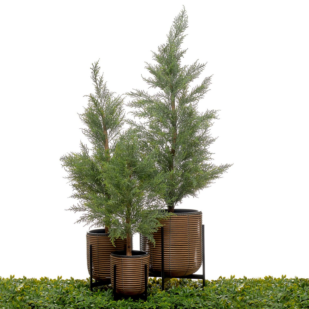 Planta artificial "Cypress" 150cm, BORGHESI verde, BORGHESI