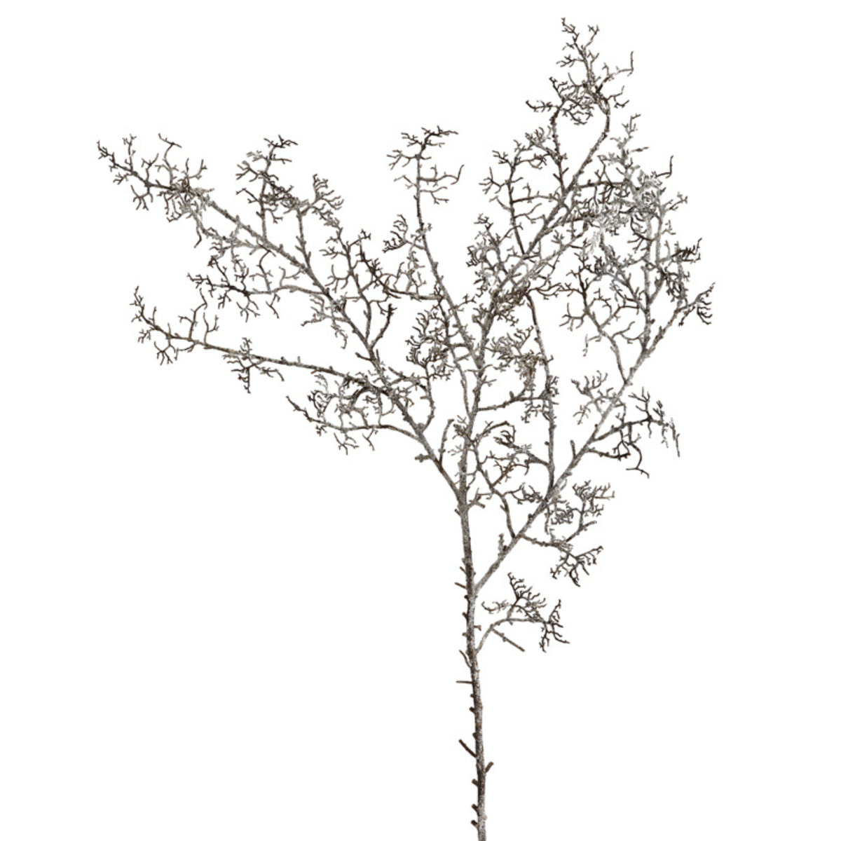 Branche de pin effet séché artificielle H109 marron, SIA DECO