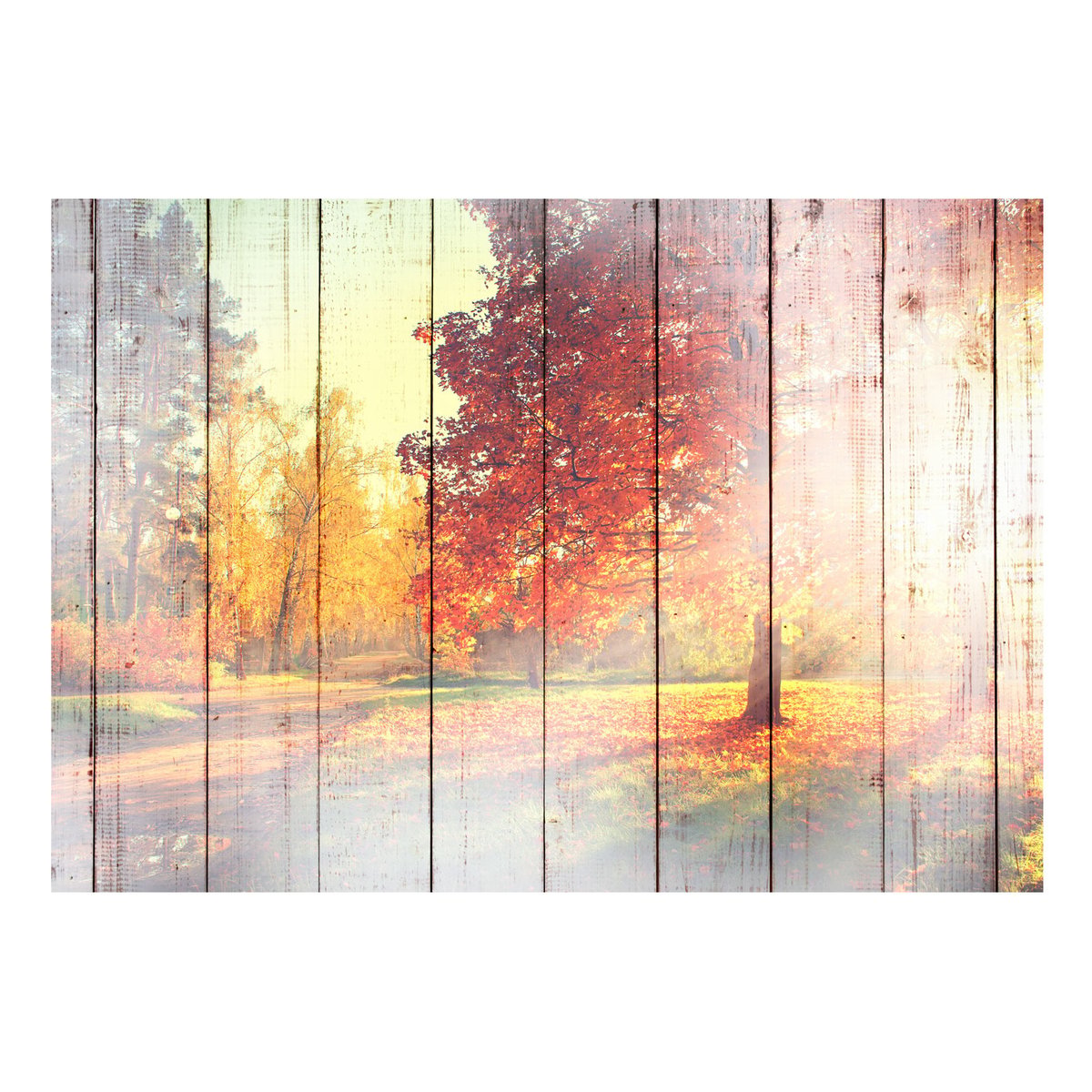 Papier peint intissé panoramique Paysage Autumn Sun blanc, EDEN