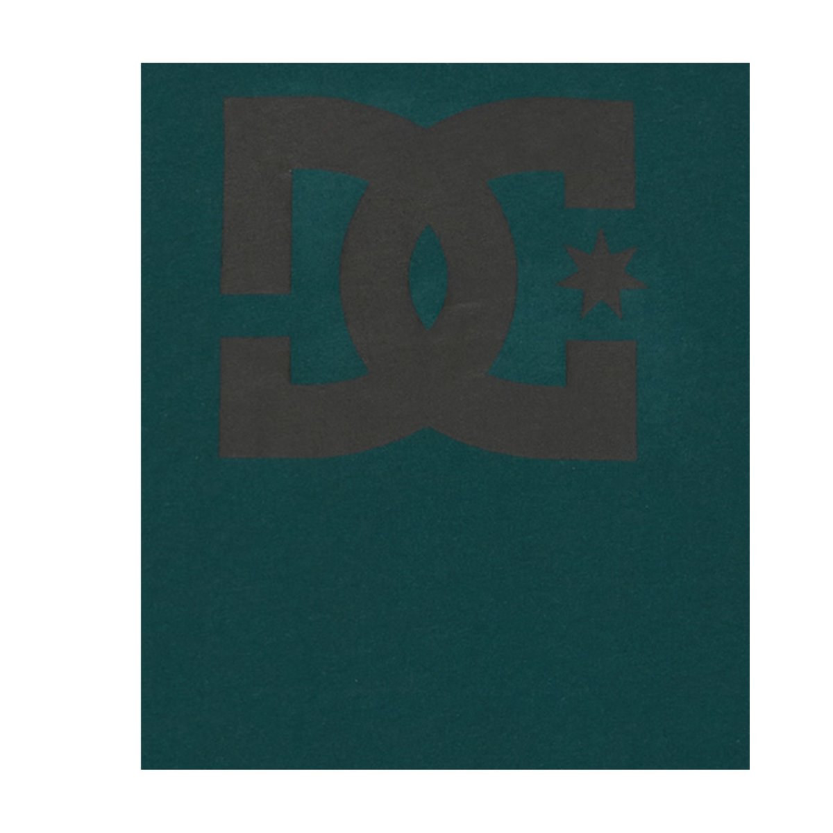 T-shirt manches longues. vert ponderosa pine, DC SHOES