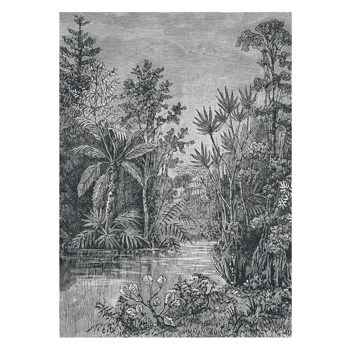 Papier peint panoramique Jungle gris, ART FOR THE HOME