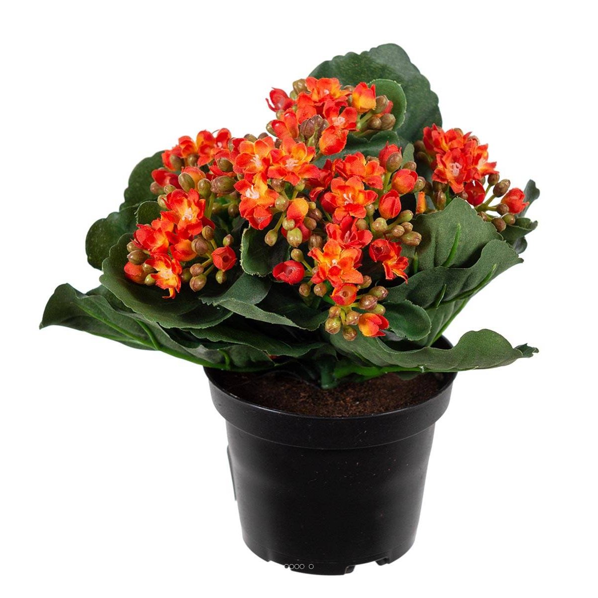Kalanchoé artificiel en pot H20cm adorable e orange clair, ARTIFICIELLES