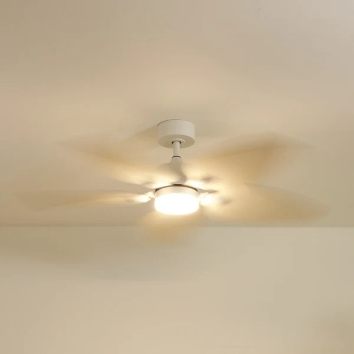 Plafonnier ventilateur en bois de peuplier VIREVOLE bois clair, ATELIER LOUPIOTE