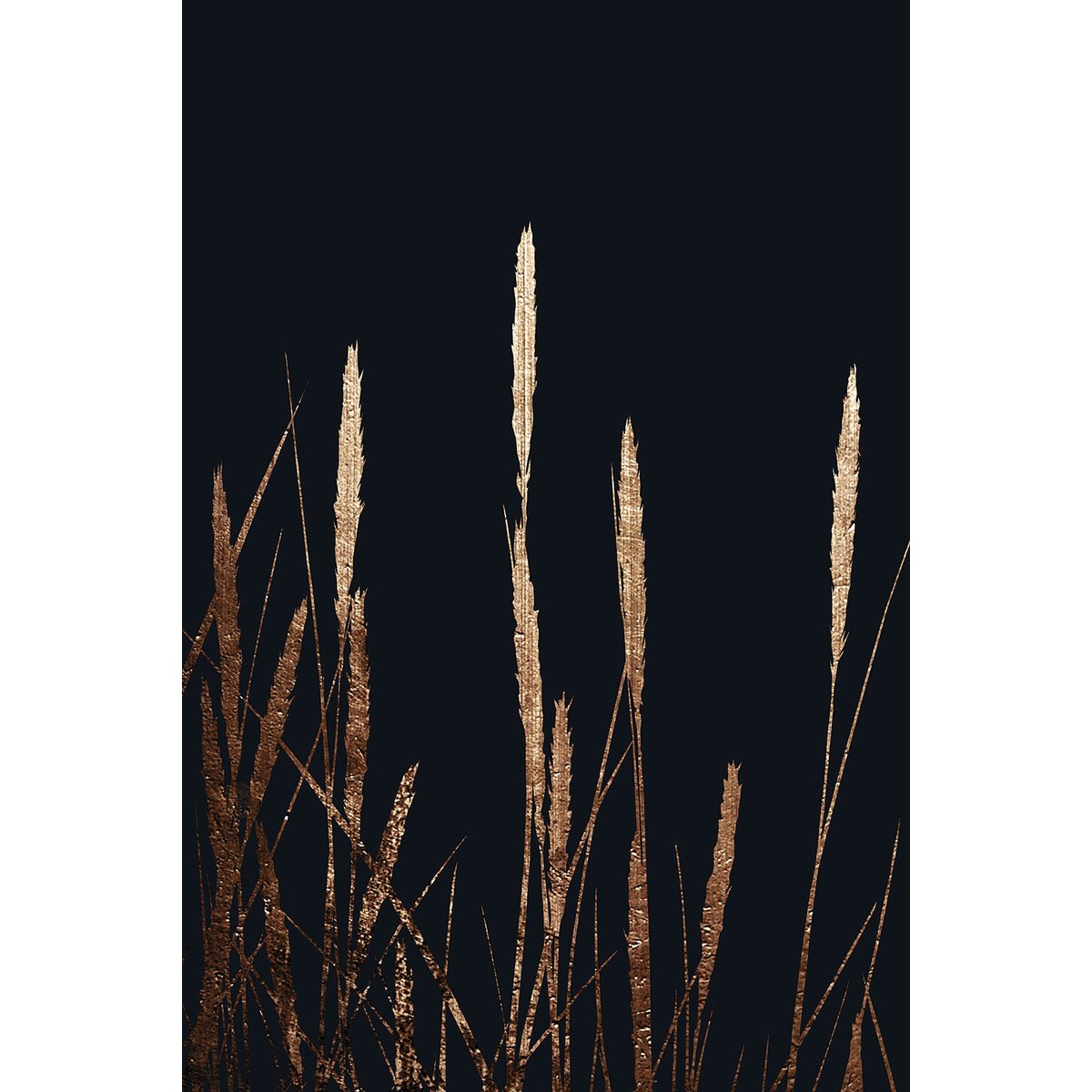 Tableau blés dorés tableau alu dibond, HEXOA