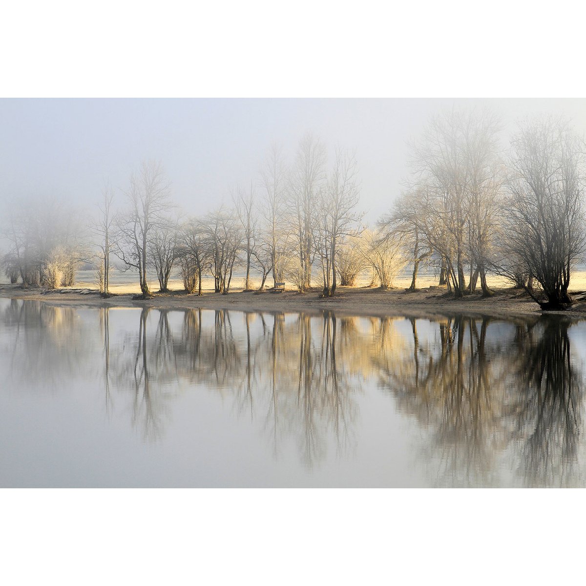 Tableau paysage Une journee de janvier tableau alu dibond, HEXOA