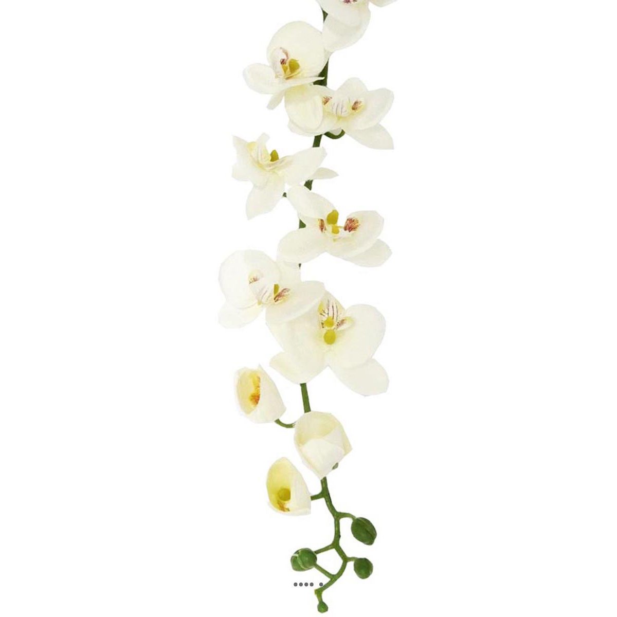 Orchidée en tige retombant H190cm 32 fleurons v002238, ARTIFICIELLES