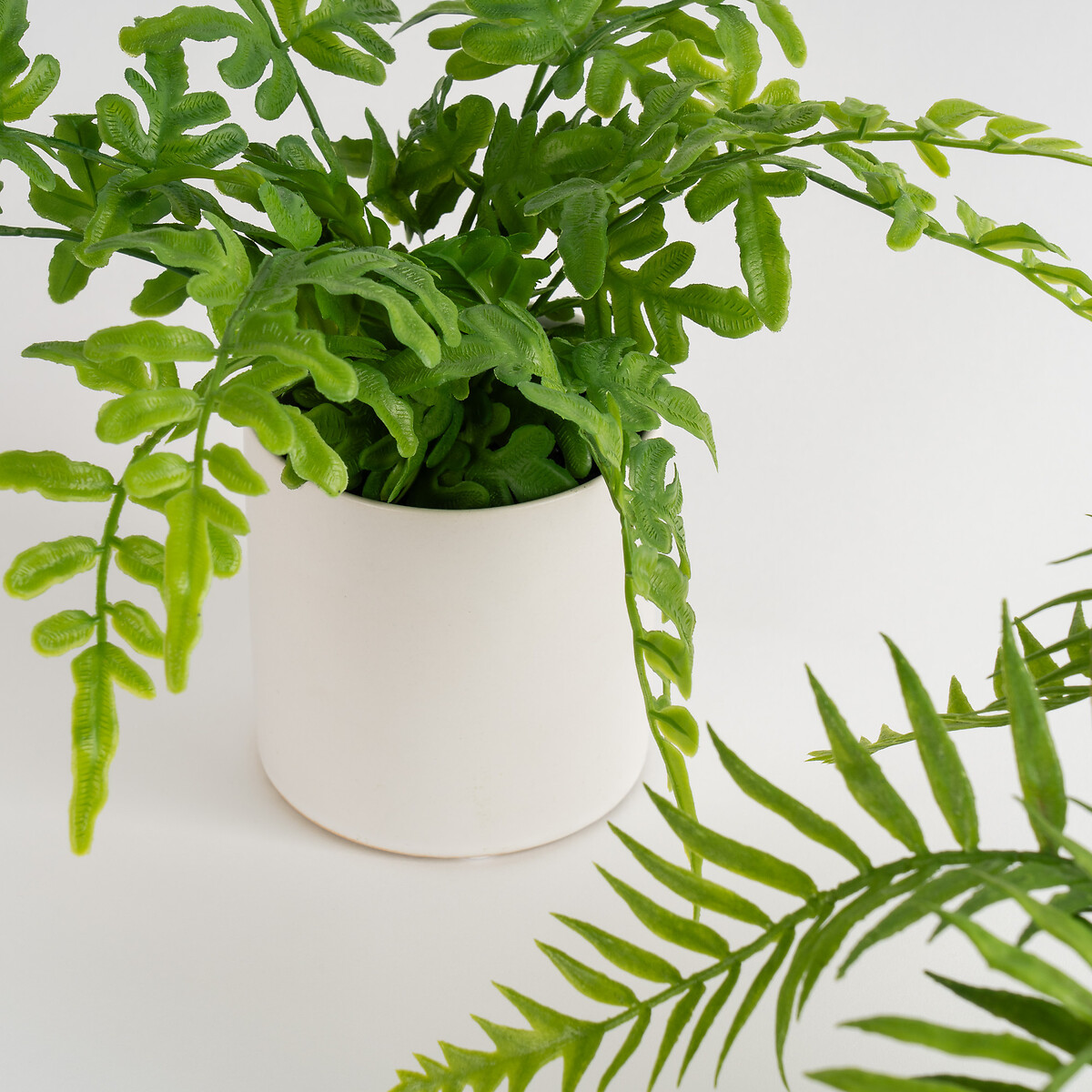 Set of 2 Ferns in White Ceramic Pot green, SO'HOME