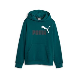 Sudadera con capucha de felpa