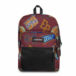 Mochila Pinnacle