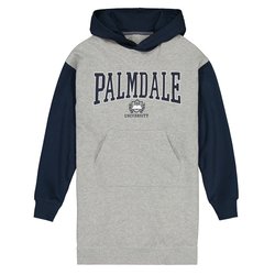 Vestido sudadera de manga larga