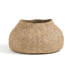 Cesto flexible de herbario, Erbario